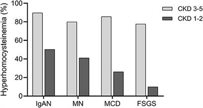 Plasma Homocysteine as a Potential Marker of Early Renal Function Decline in IgA Nephropathy